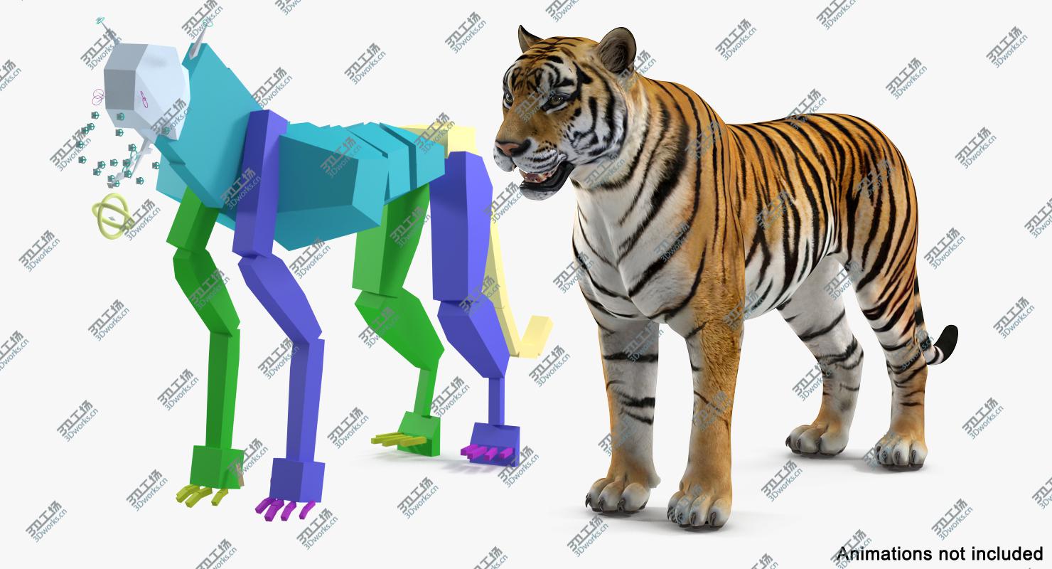 images/goods_img/202104092/3D Tiger Rigged for Cinema 4D/4.jpg